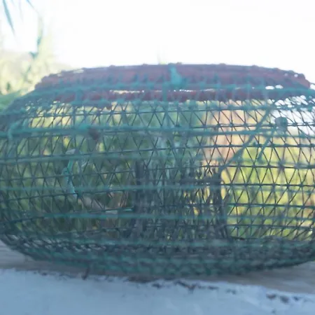 Casa Da Cabeça Maison d'hôtes Azinheiro