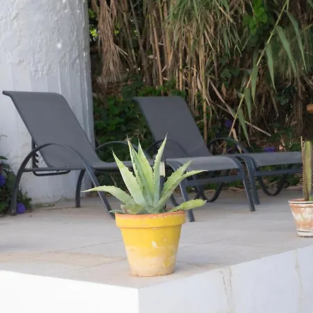 Гостевой дом Casa Da Cabeca